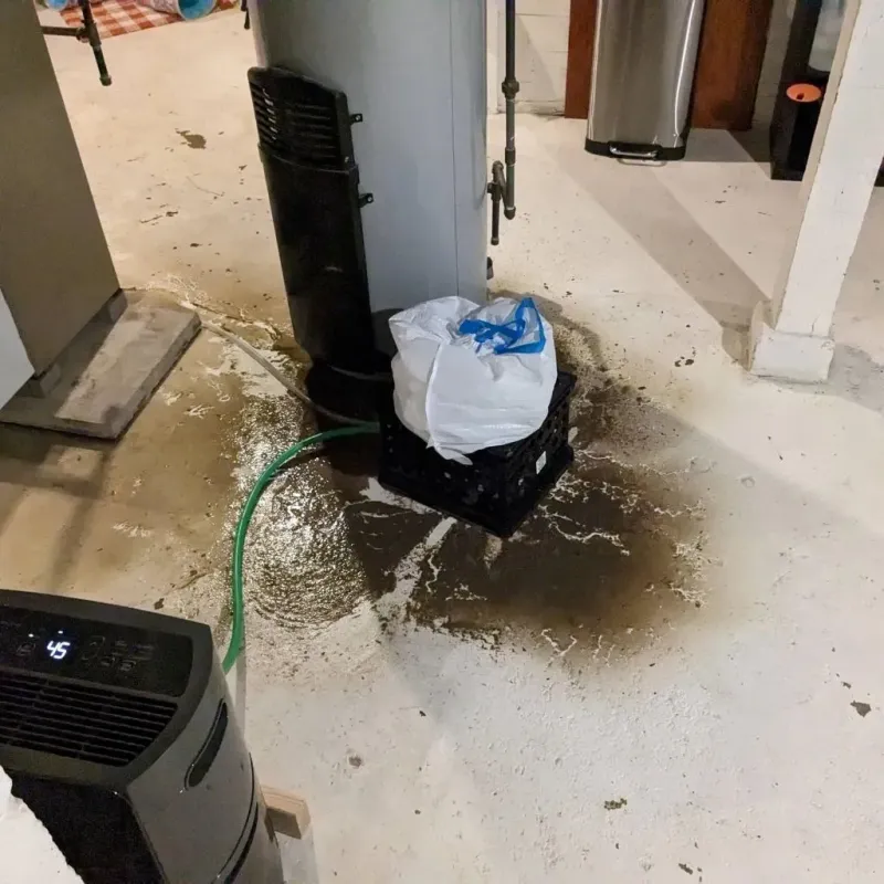 Sewage Backup Cleanup Service in Stateburg, SC
